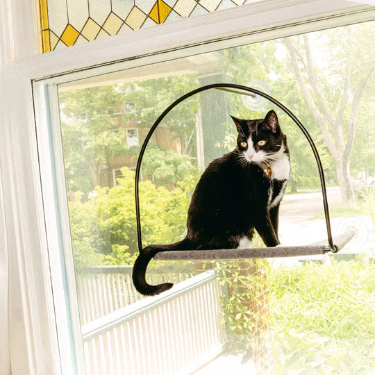 The Science Behind Elevated Cat Spaces: Why Window Hammocks Boost Confidence