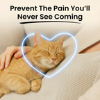 Cat Taurine Powder