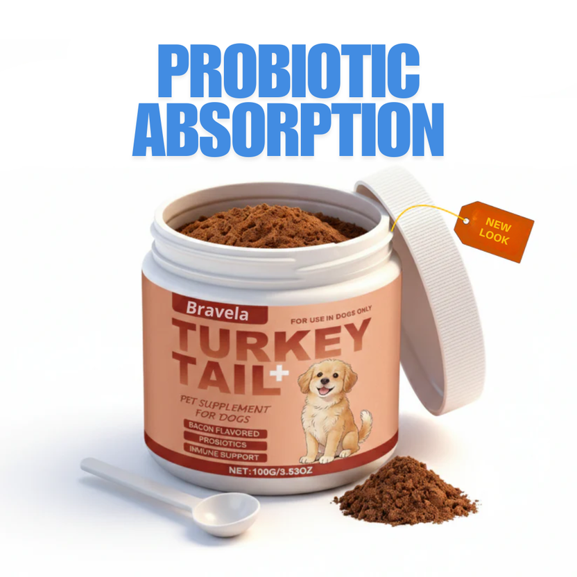 Turkey Tail Probiotics