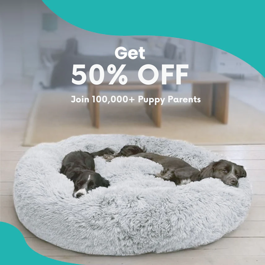 Calming Dog Bed