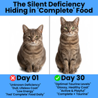 Cat Taurine Powder