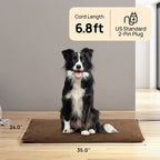 Neighborhood Outdoor Pet Heating Pad