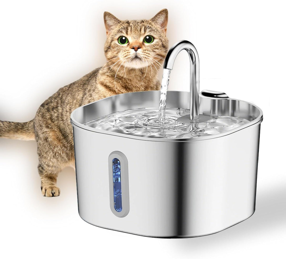 The FRIENDLYFURR - 2.2L Fountain