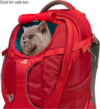 Kurgo G-Train Dog Carrier Red Backpack