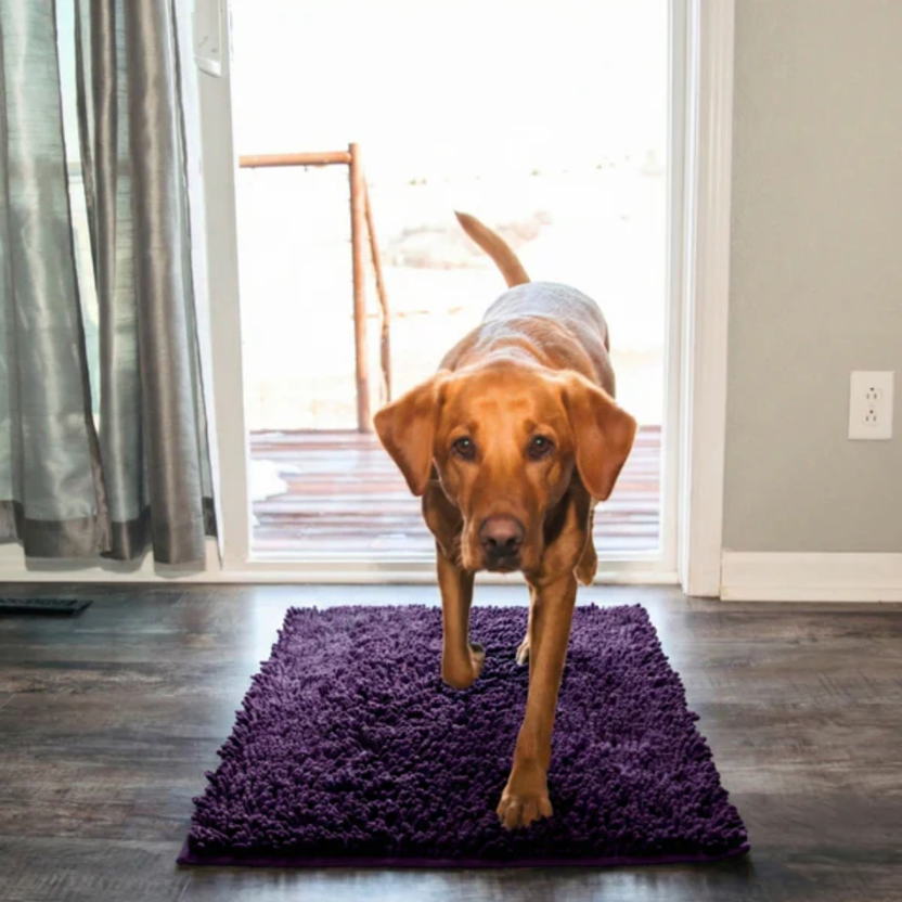 Anti-Mud Dog Door Mat