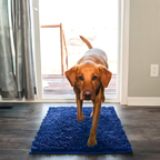 Anti-Mud Dog Door Mat