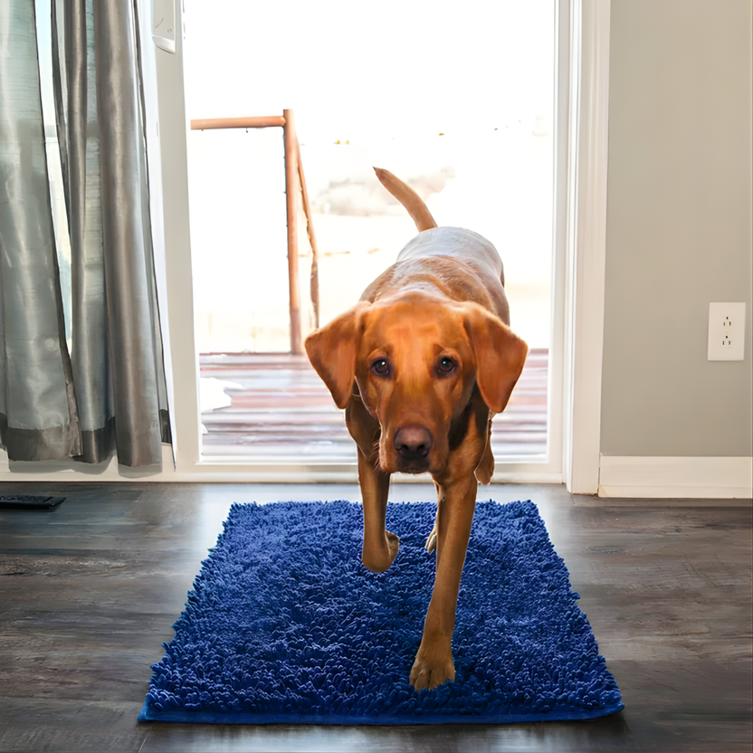 Anti-Mud Dog Door Mat