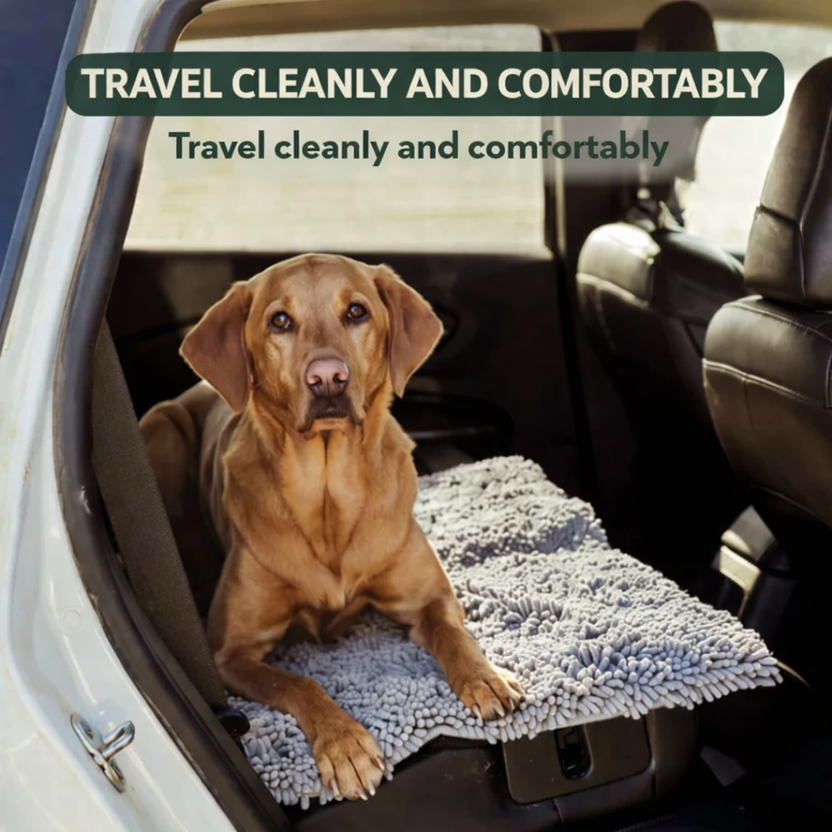 Anti-Mud Dog Door Mat