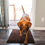 Anti-Mud Dog Door Mat