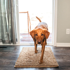 Anti-Mud Dog Door Mat