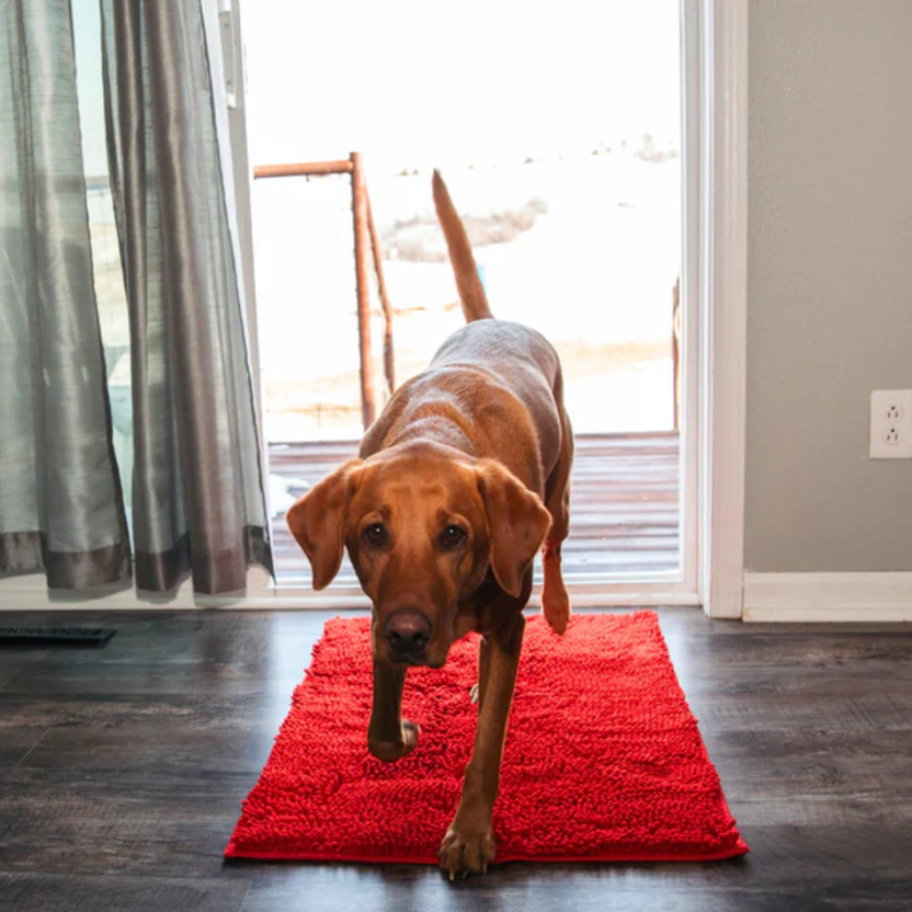 Anti-Mud Dog Door Mat