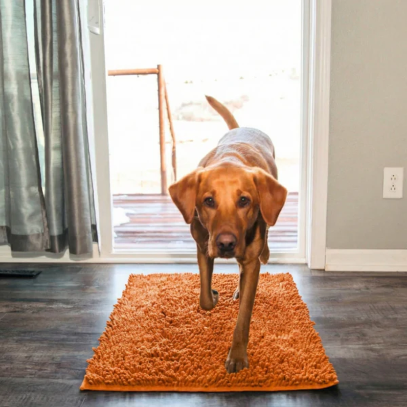 Anti-Mud Dog Door Mat