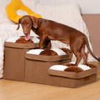 Stylish Dog Stairs with Storage – Durable Polypropylene