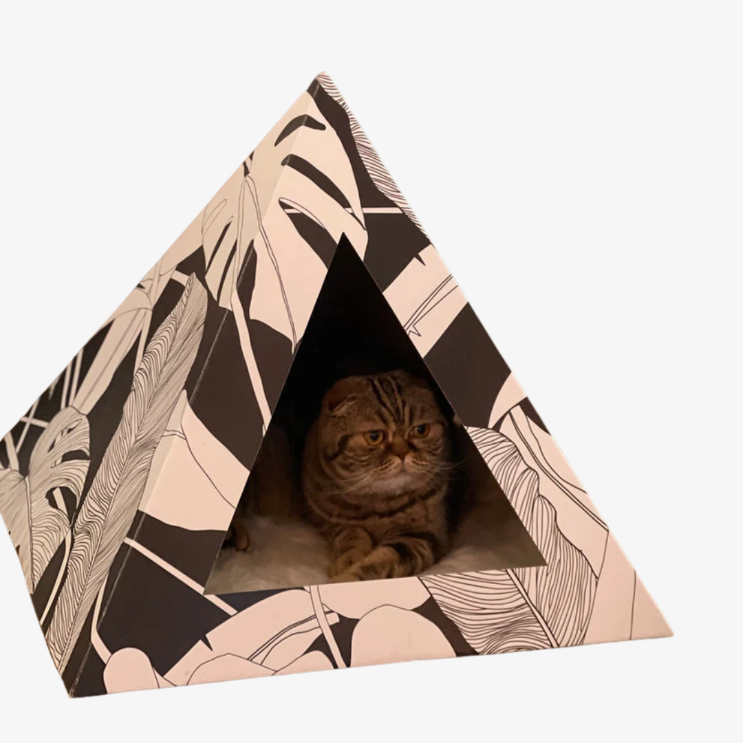 Dark Paradise Cardboard Cat Pyramid