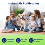 Friendlyfurr™ Cat Odor & Litter Box Air Purifier