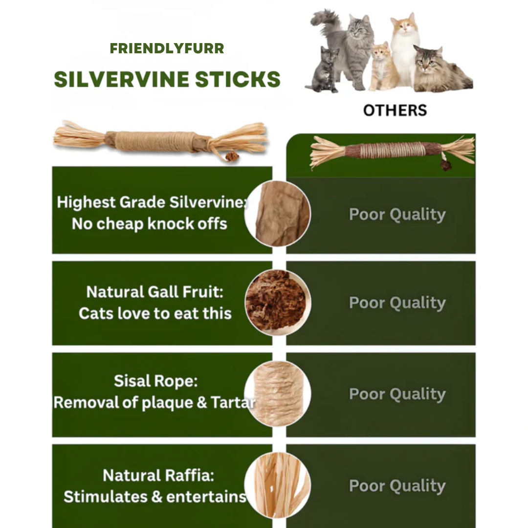 Natural Japanese Silver Vine Chewing Sticks