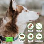 Flea & Tick Natural Defense Collar Pendant