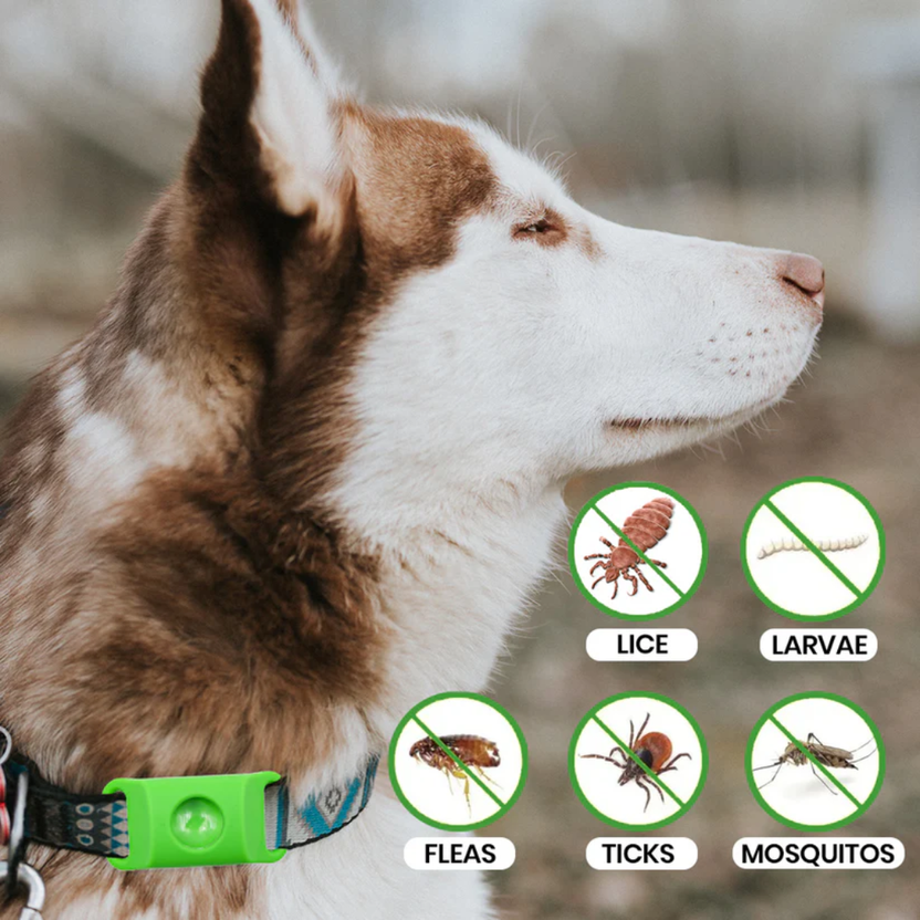 Flea & Tick Natural Defense Collar Pendant
