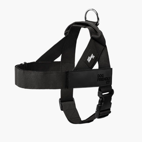EasyFit No pull Personalized dog harness