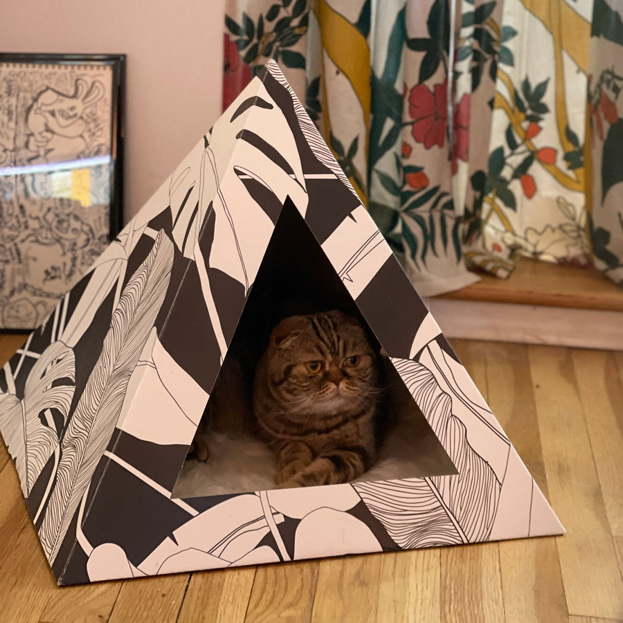 Dark Paradise Cardboard Cat Pyramid