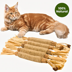 Natural Japanese Silver Vine Chewing Sticks