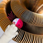 Pawsome Spinner Innteractive Toy