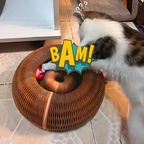 Pawsome Spinner Innteractive Toy