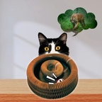 Pawsome Spinner Innteractive Toy