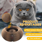 Pawsome Spinner Innteractive Toy
