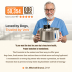 Pet Water Fountain