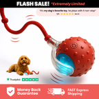 Friendlyfurr™ – Interactive Ball for Stimulation