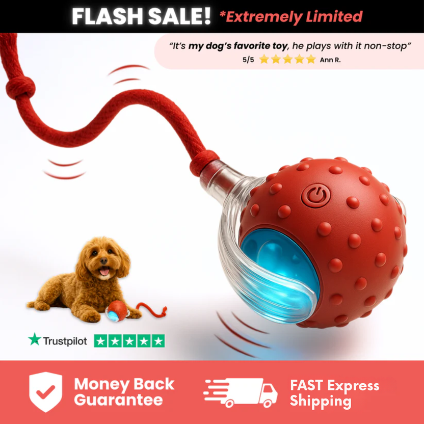 Friendlyfurr™ – Interactive Ball for Stimulation