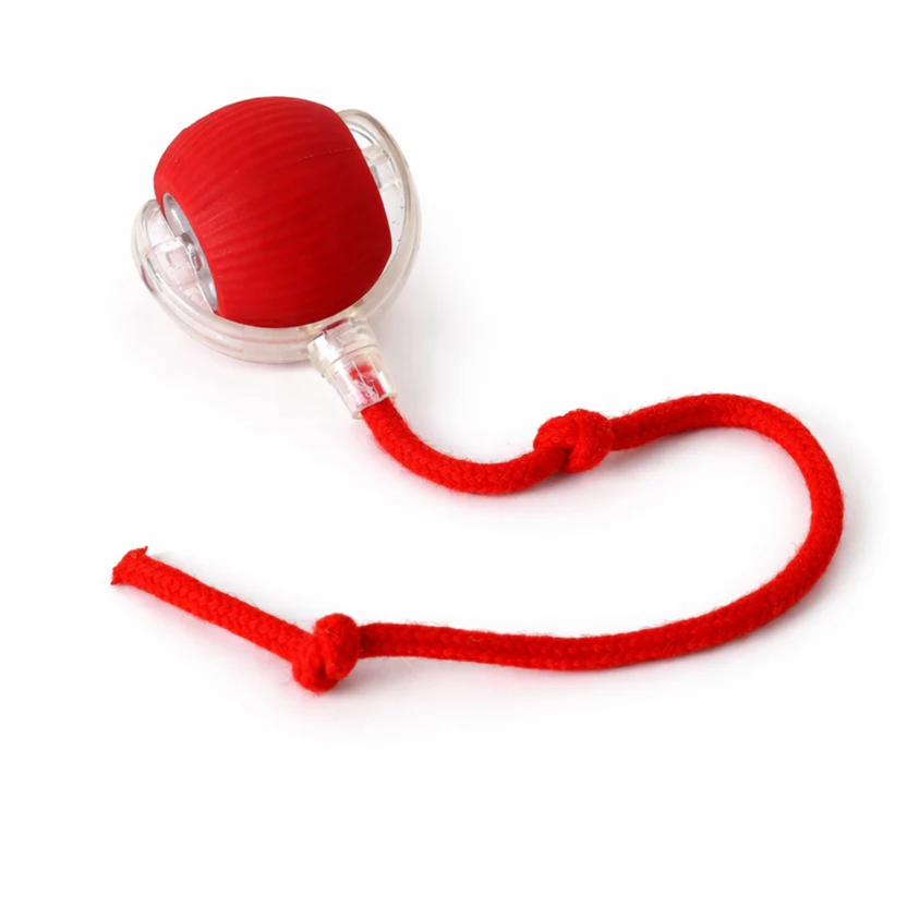 Friendlyfurr™ – Interactive Ball for Stimulation