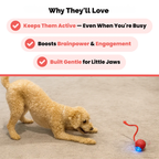 Friendlyfurr™ – Interactive Ball for Stimulation