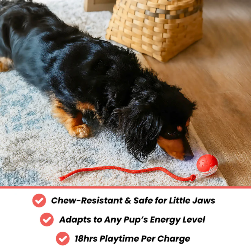 Friendlyfurr™ – Interactive Ball for Stimulation