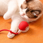 Friendlyfurr™ – Interactive Ball for Stimulation