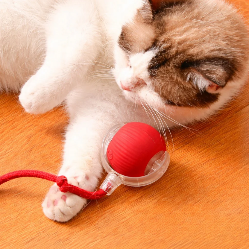 Friendlyfurr™ – Interactive Ball for Stimulation