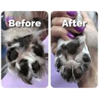 Friendlyfurr Paw Hair Trimmer