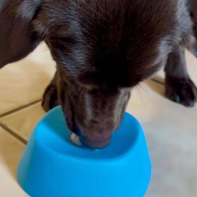 Lick & Roll Bowl