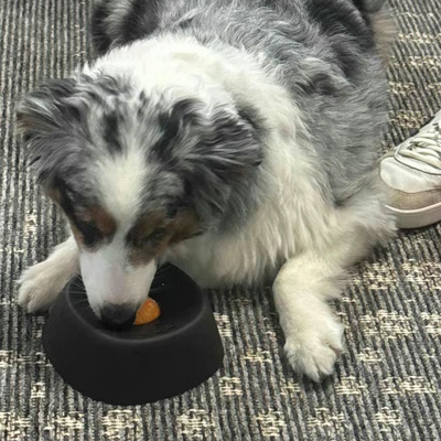 Lick & Roll Bowl