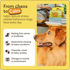 Reactive Dogs Calming Diffuser