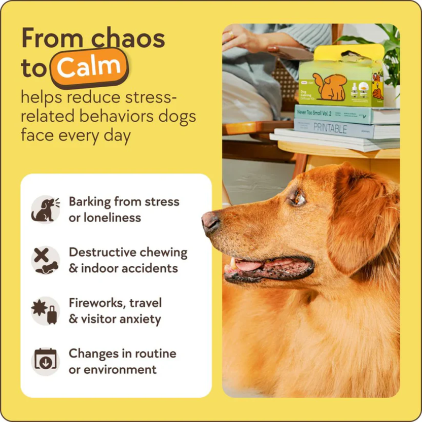 Reactive Dogs Calming Diffuser
