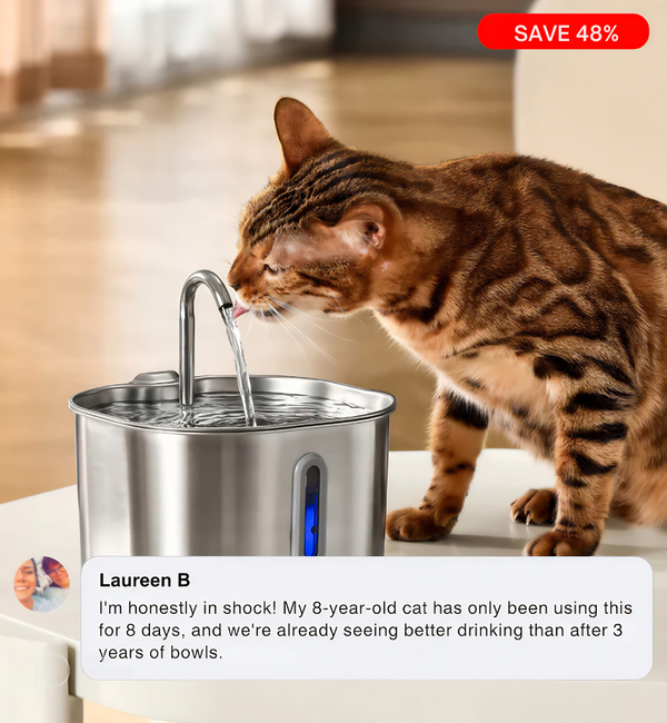 Give Your Cat Years More Healthy Life With Friendlyfurr