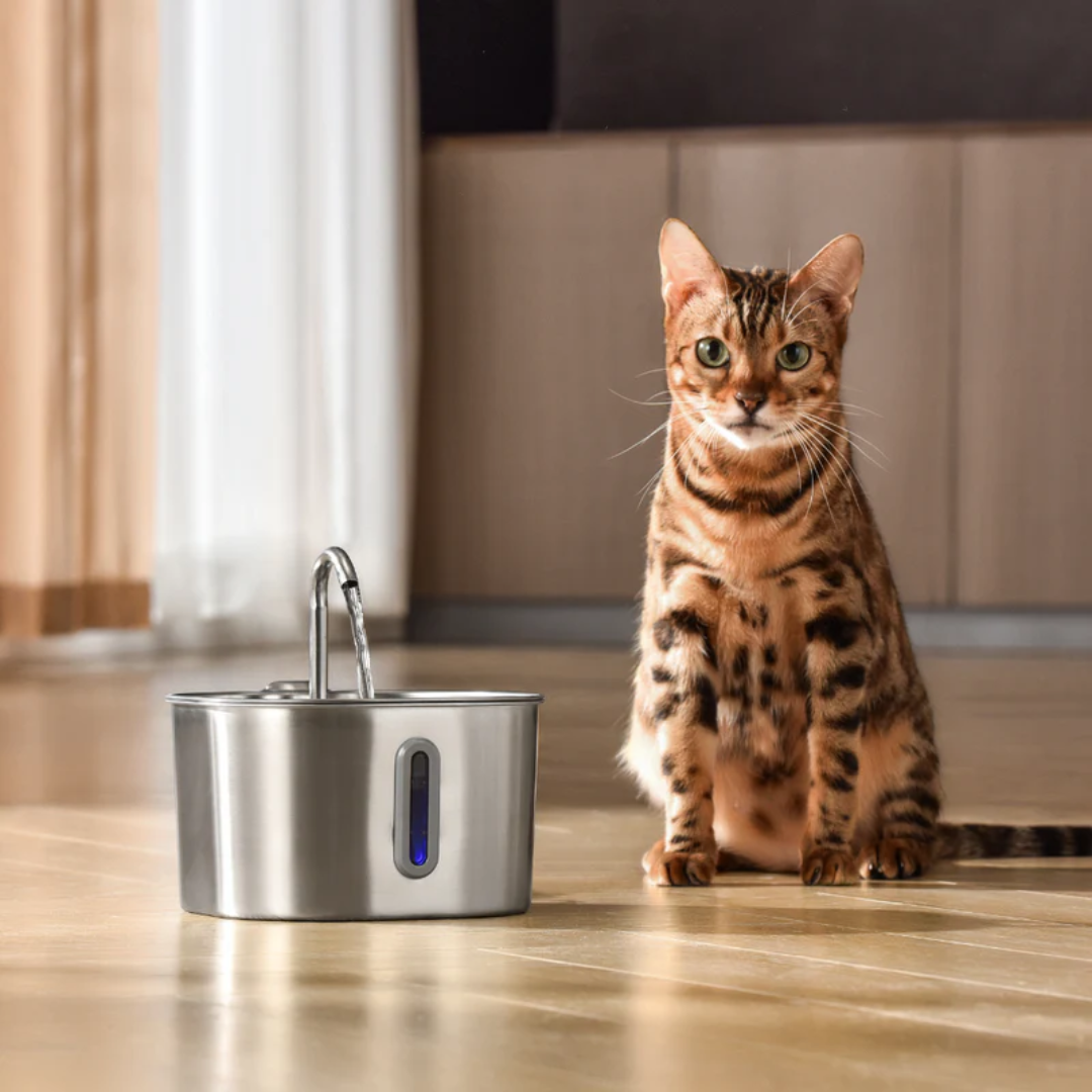 The FRIENDLYFURR - 2.2L Fountain