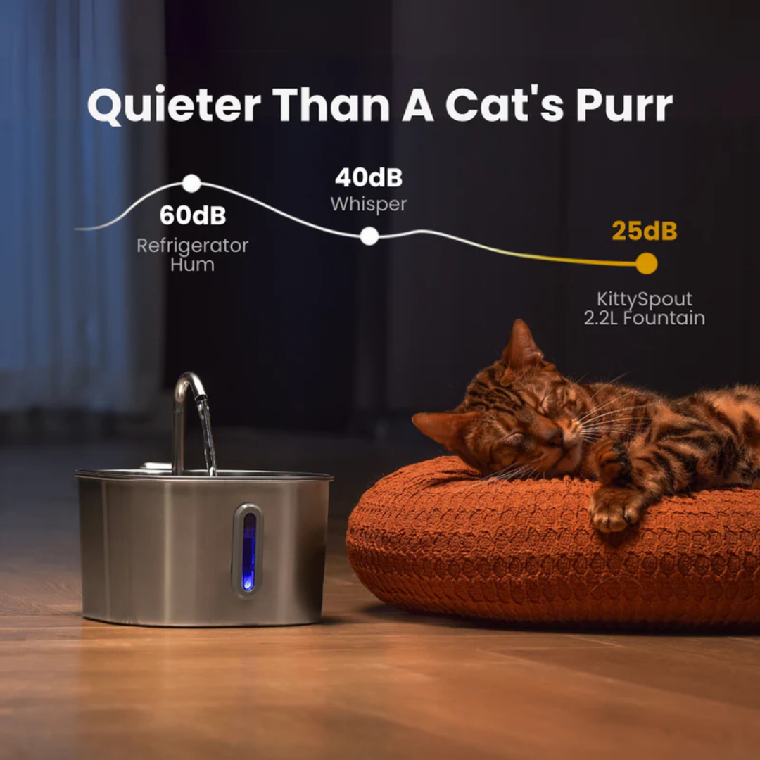 The FRIENDLYFURR - 2.2L Fountain