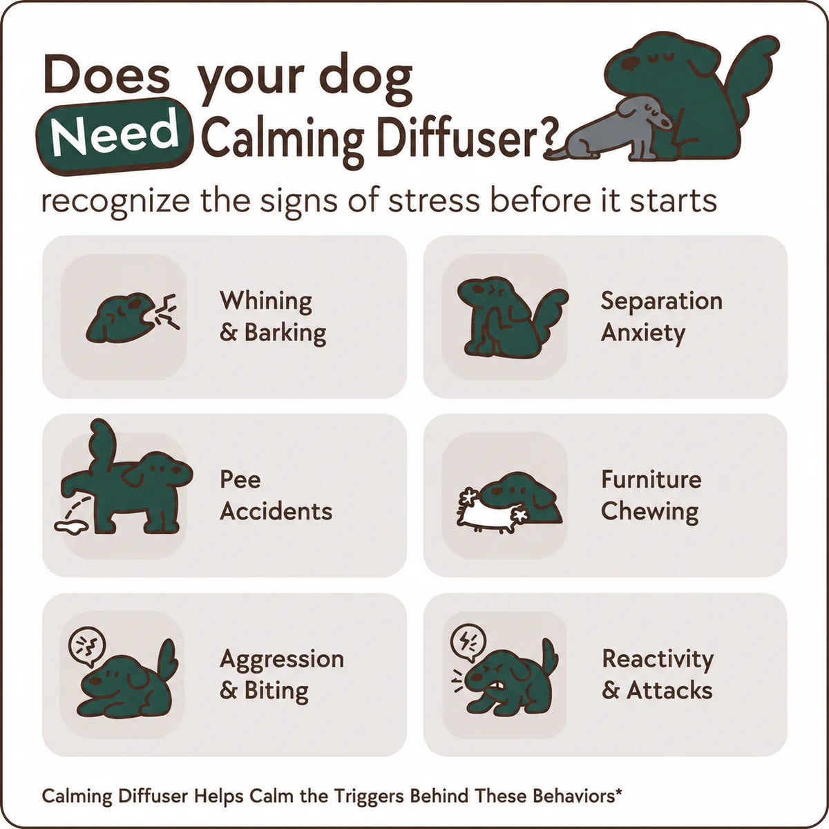 Dog Calming Diffuser Kit