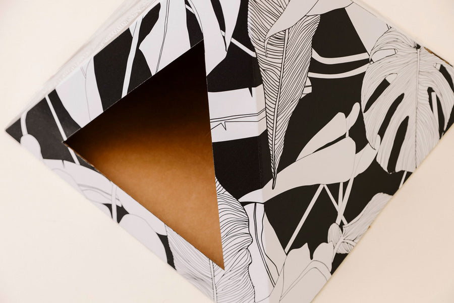 Dark Paradise Cardboard Cat Pyramid