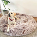 Calming Dog Bed