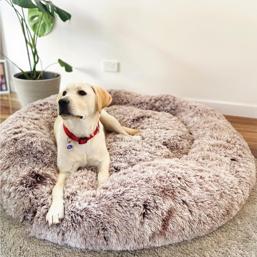 Calming Dog Bed