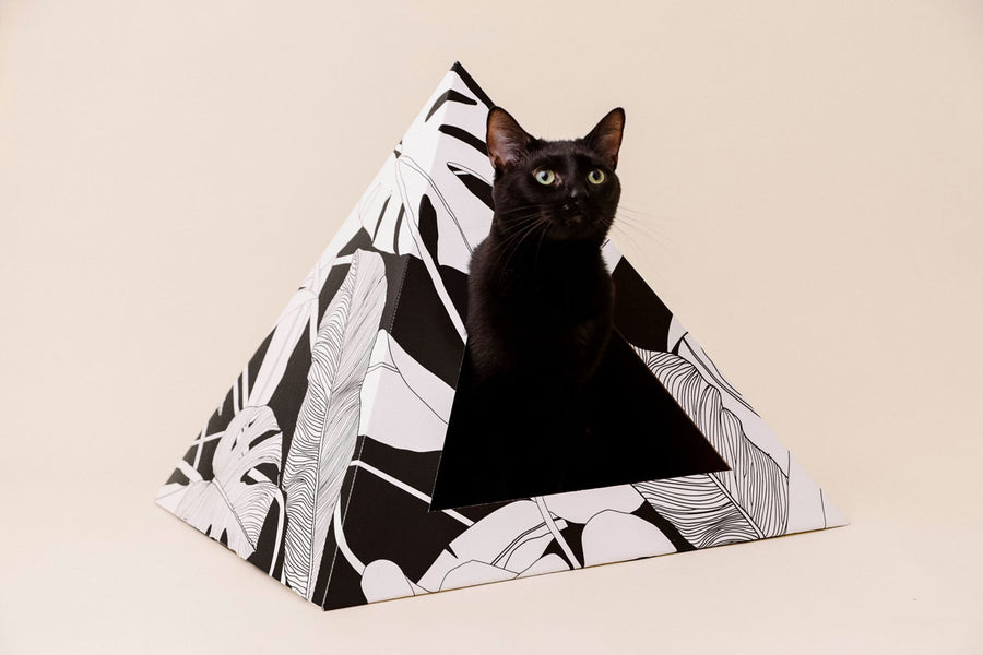Dark Paradise Cardboard Cat Pyramid